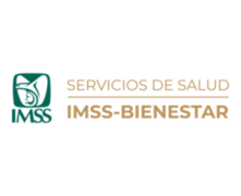 logoimsspag